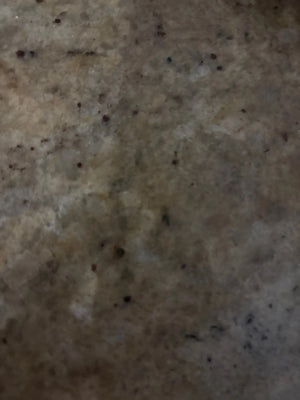 A2e4647e164554362b826d7ebe536cd45O.jpg